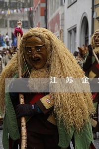 江苏企业 贷款逾期 江苏企业 贷款逾期